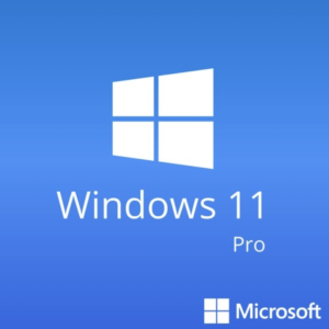 Windows 11 Pro